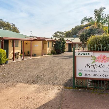 Ficifolia Lodge Parndana Exterior photo