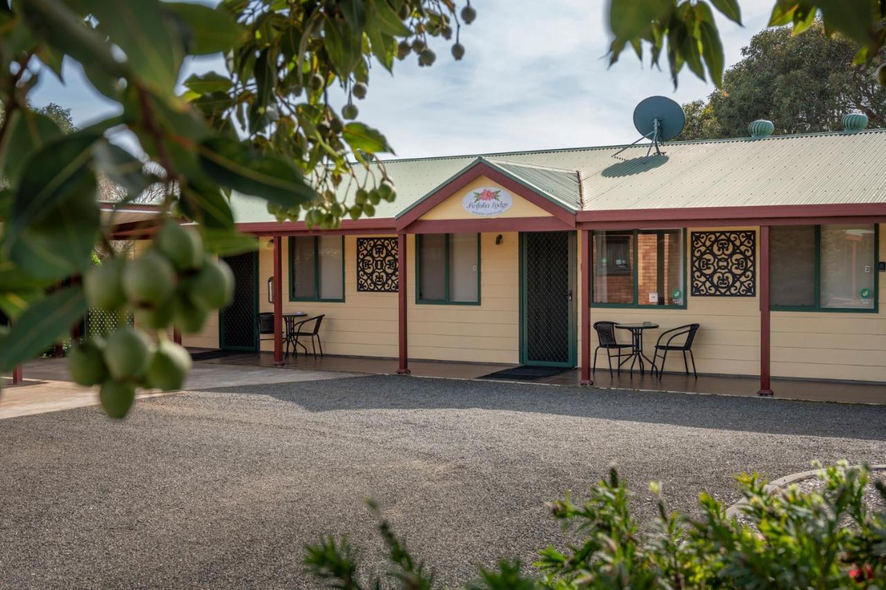 Ficifolia Lodge Parndana Exterior photo