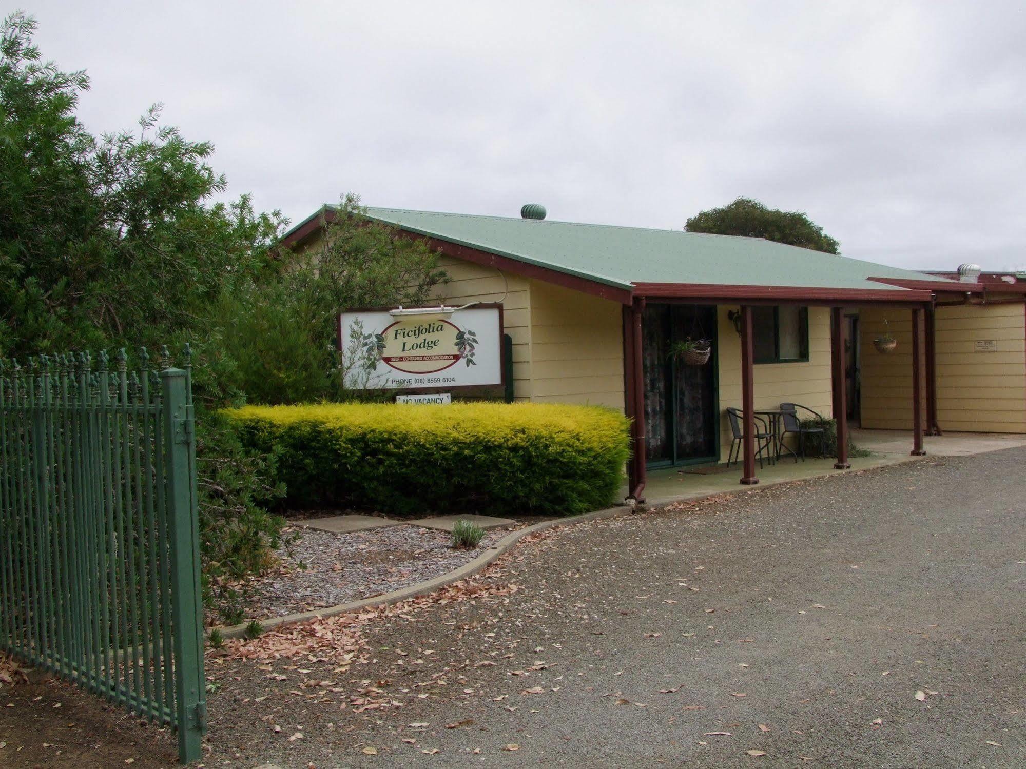 Ficifolia Lodge Parndana Exterior photo