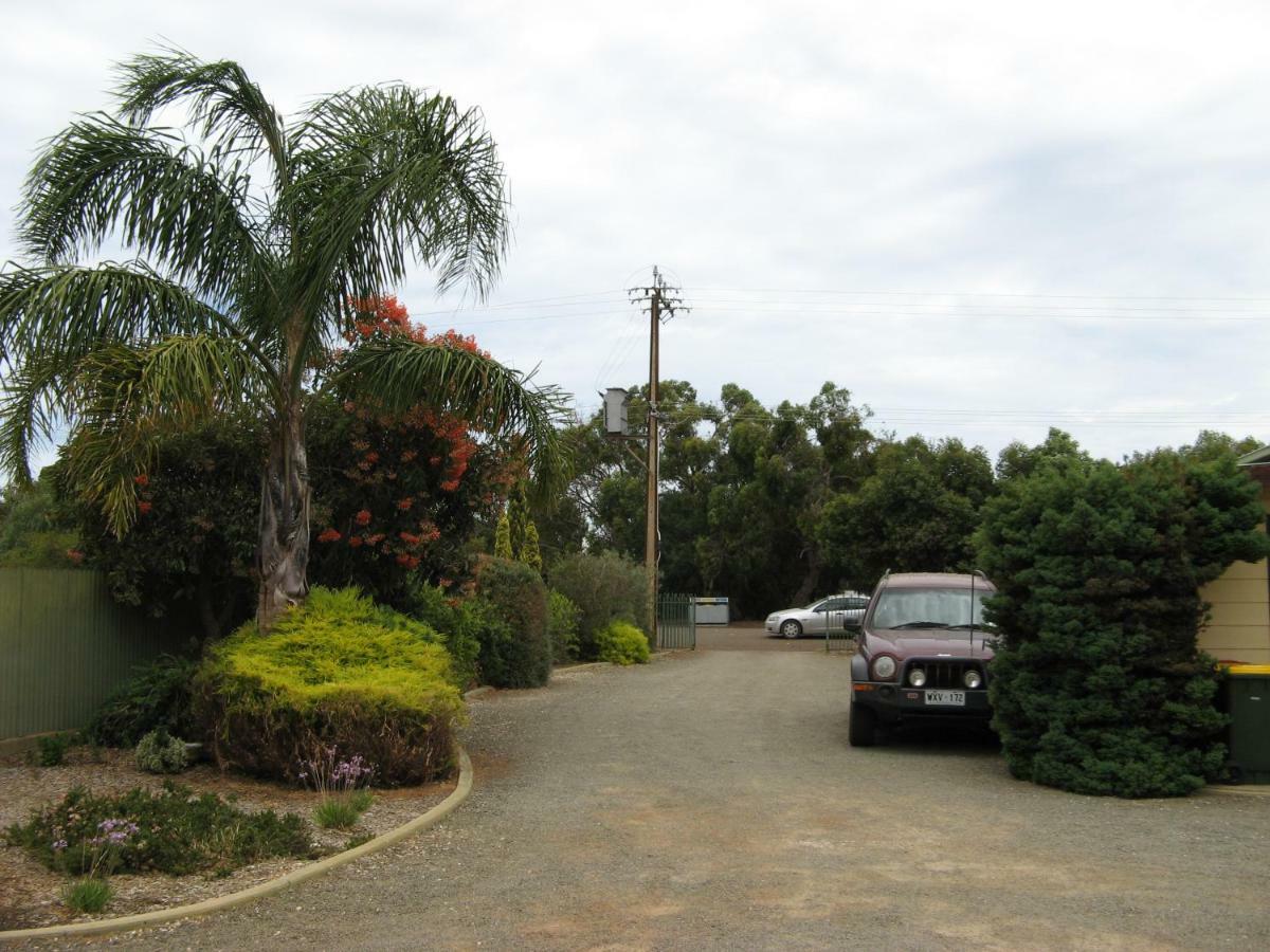 Ficifolia Lodge Parndana Exterior photo